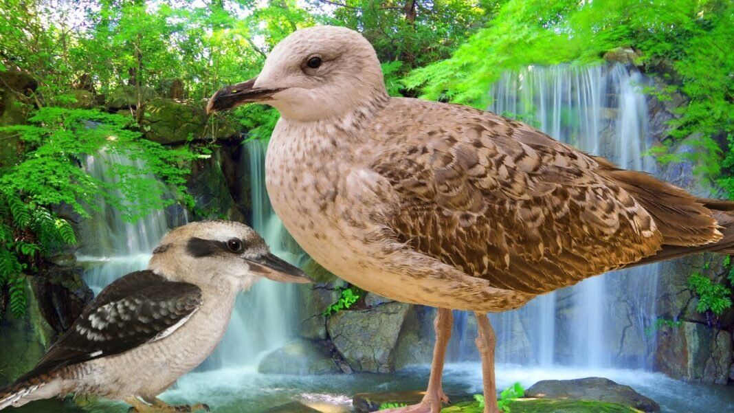 Surah Yunus Recitation for Sleep | Calming Waterfalls & Birds