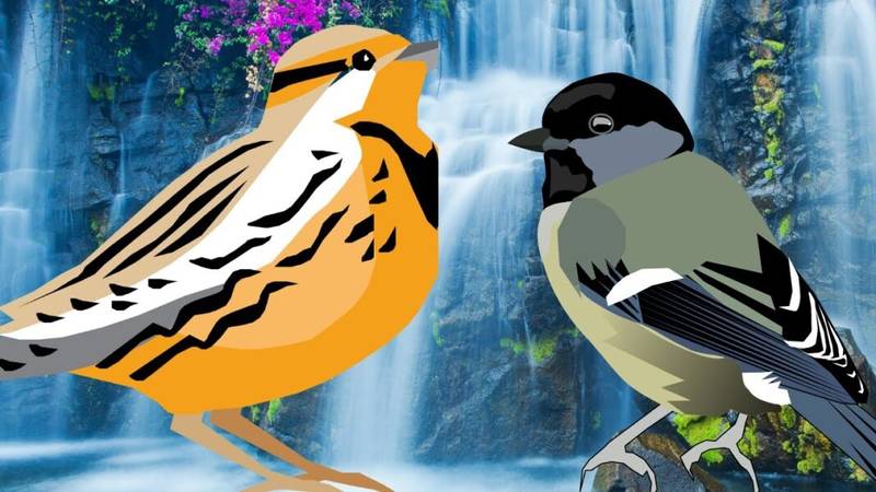 Surah At Taubah| Sleep & Relaxation | Soothing Waterfalls & Birds | Quran Recitation