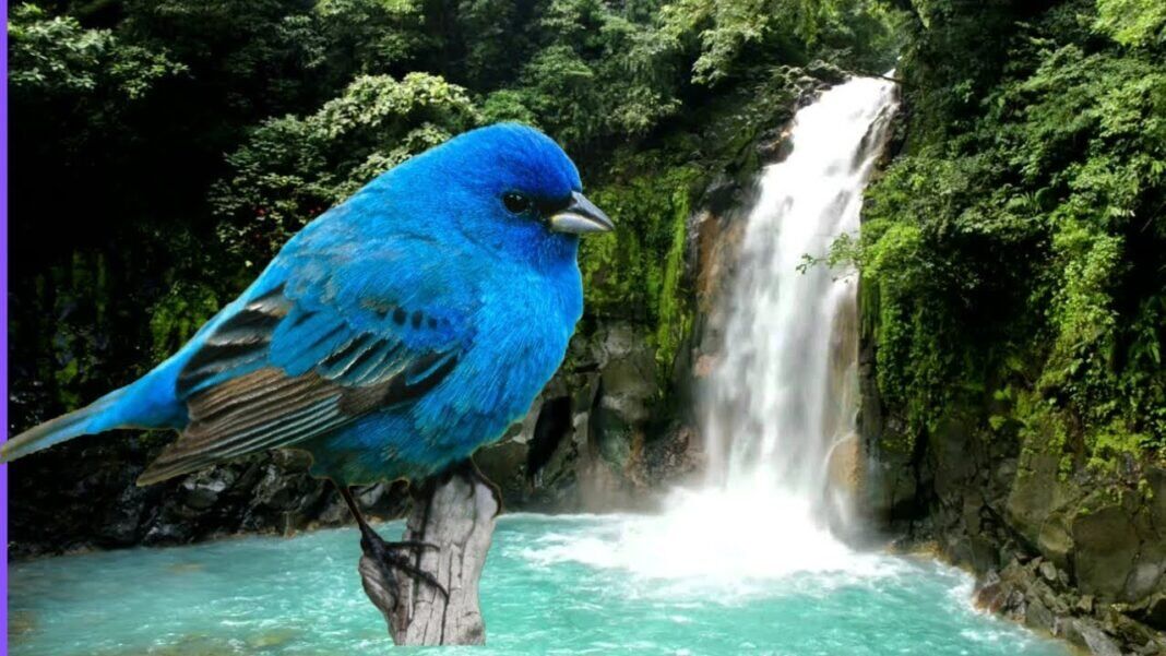 Surah Al-An’am with Soothing Waterfall & Birds Sounds | Deep Sleep Aid