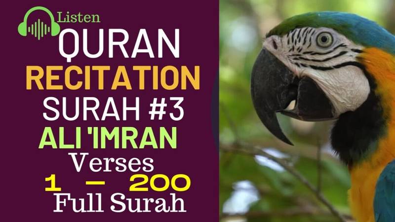 Listen to the most BEAUTIFUL Quran recitation of Surah Ali ‘Imran