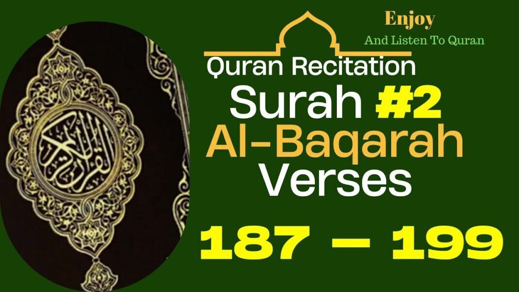 Quran Recitation – Al Baqarah 187 – 199