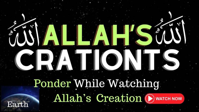 Ponder Allah’s Creations| earth