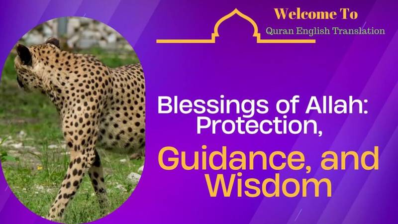 Blessings of Allah: Protection, Guidance, and Wisdom